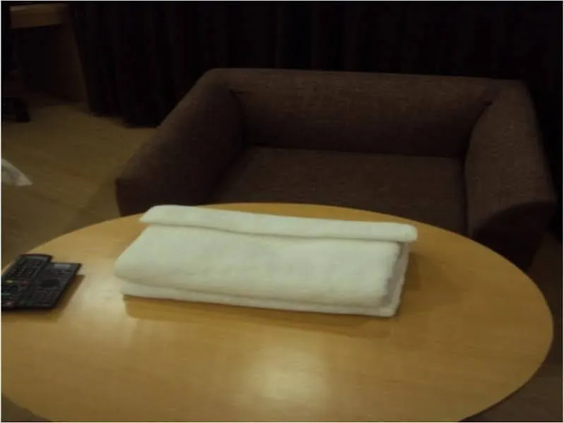 Hirohama India Business Hotel New Delhi